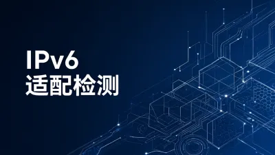 IPv6适配检测是什么意思？