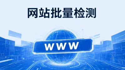 网站批量检测是什么意思？