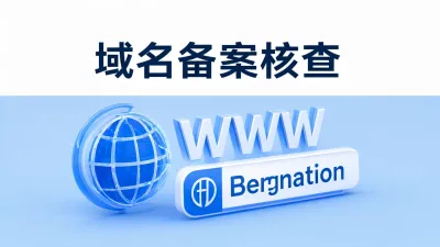 域名备案核查需要哪些材料？