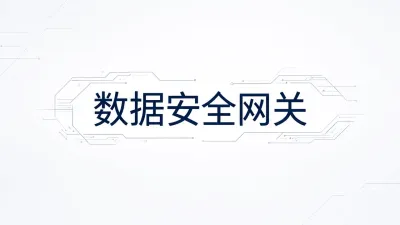 数据安全网关是什么意思？