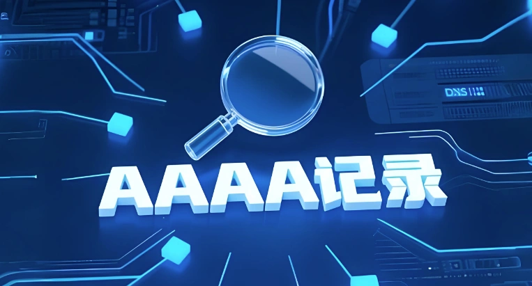 AAAA记录校验
